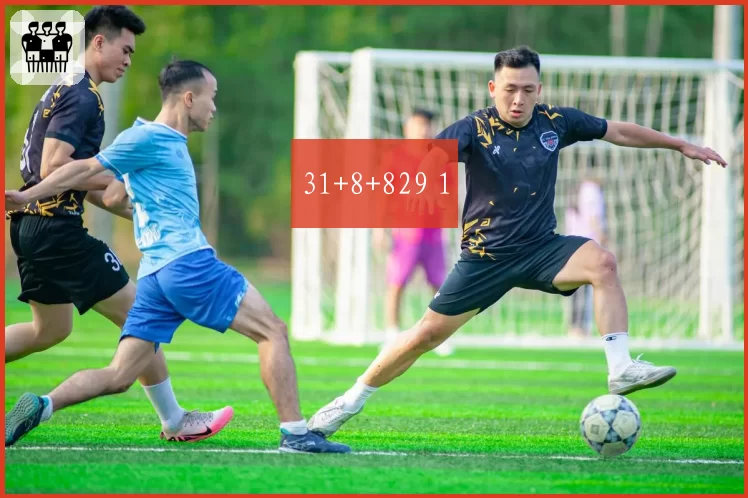 31+8+829 1